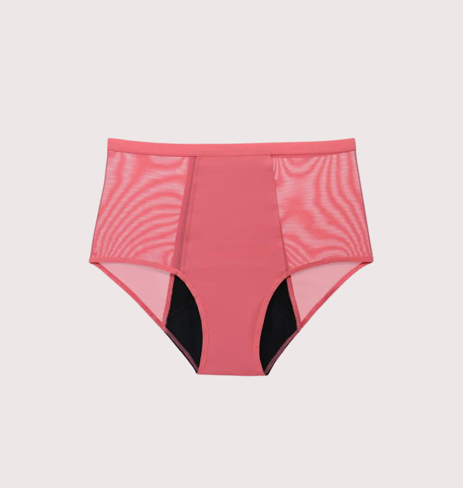 Lace Incontinence Underwear